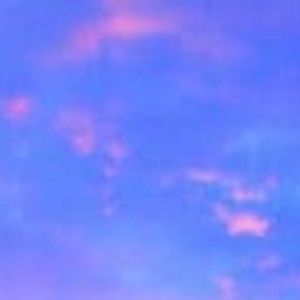 Meet your Posher, Logan